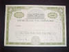 Custer Channel Wing Stock Certificate
